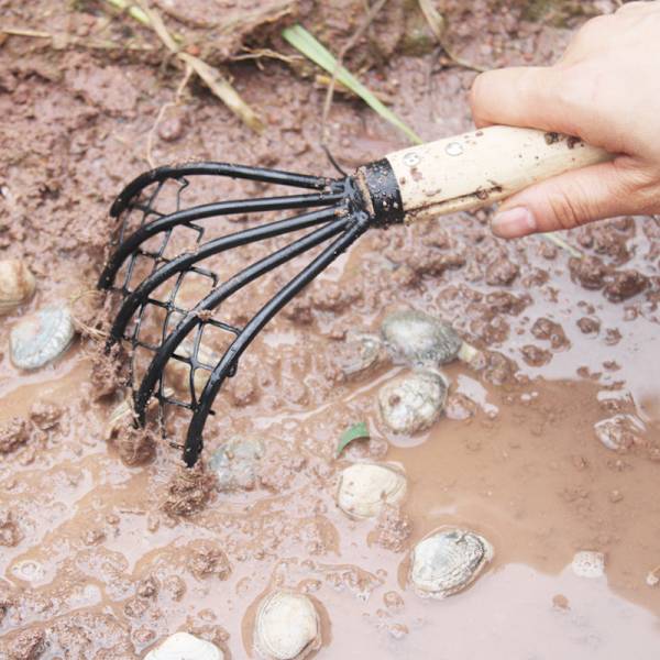 Musslingsgaffel, Musslingskratta, med nät, Claw Rake, Handkrata för att gräva skaldjur, Strand (1 stycke, svart)