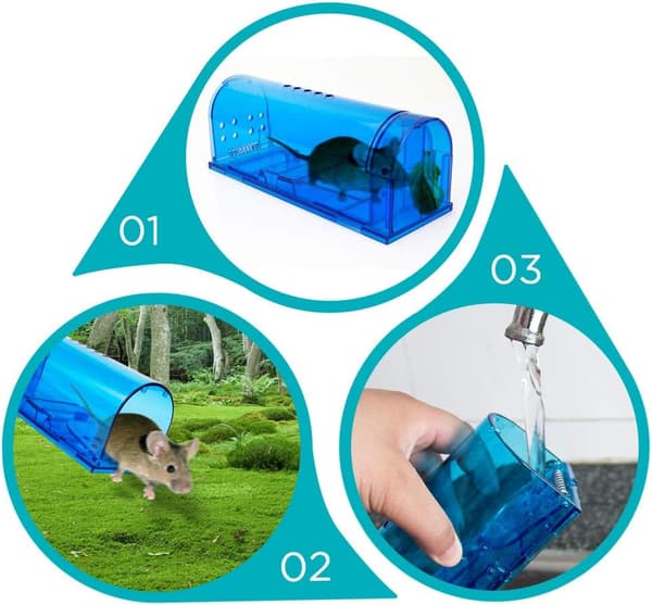 råttfällor, Humane No Kill Live Catch and Release Mouse Traps, Reusable with Cleaning Brush - 2 Pack