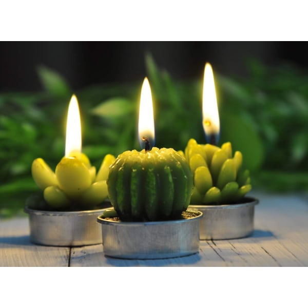 värmeljus mors dag presenter, delikat kaktus terrarium ljus Små söta handgjorda ljus för hemmet, bröllopstillbehör (6 förpackningar)