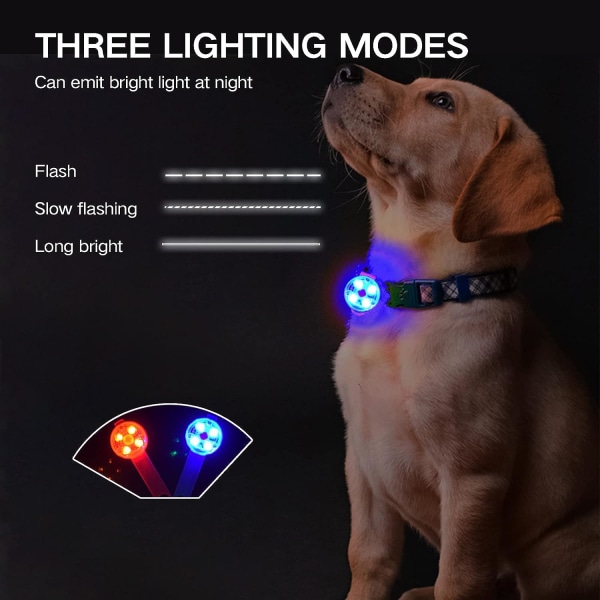 Hund-katthalsband LED-ljus, USB uppladdningsbart LED-hängelampa för hund, 3 blinkande lägen Vattentät säkerhetshusdjurslampa Glödande hänge (blå, A)