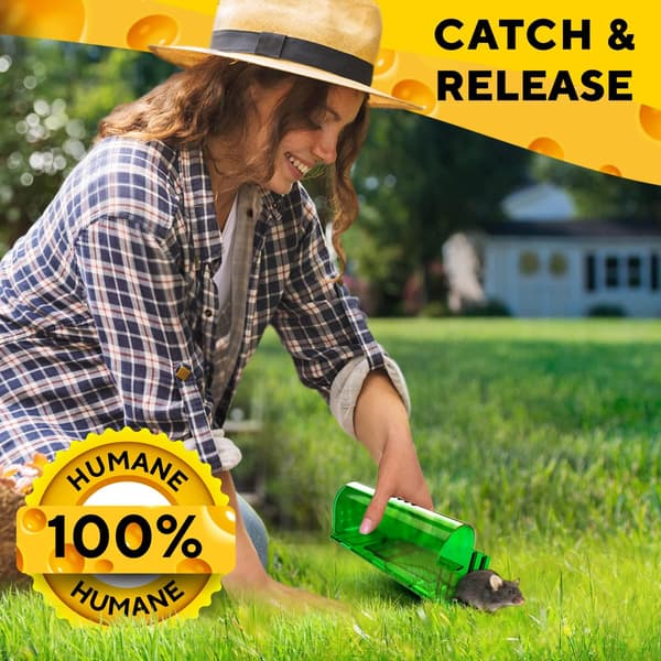 Humane No Kill Live Catch and Release Mouse Traps, Reusable with Cleaning Brush - 2 Pack green