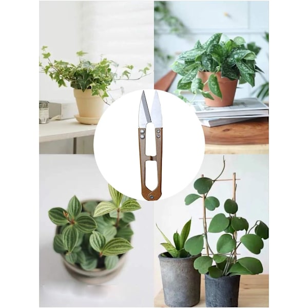 3-pakning 4.1\" Bonsai Beskjæringssaks, Knopp- og Bladtrimmer Garn Trådtrimmer Beskjæringsutstyr, Hageplanter, Hageblomstklippere, Rustfritt Stål P