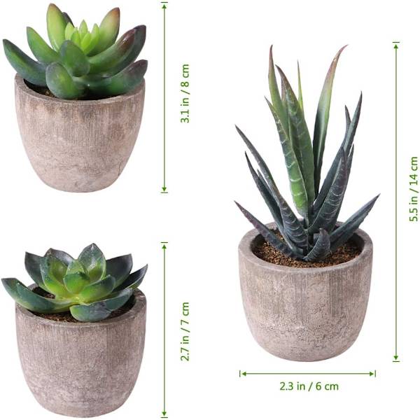 3 stk. Kunstige sukkulenter/Kunstig kaktus/Simulerede kaktus potteplanter Hjem Bonsai Dekoration Have Grønt