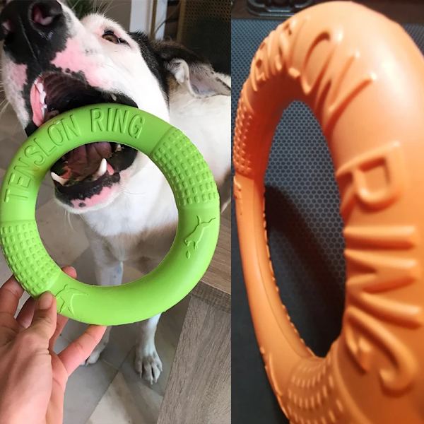 Interaktiv EVA Puller Ring För Hundar Stor Hund Leksak Biting Resistenta Flygande Skivor För Husdjur Liten Hund Leksak grön