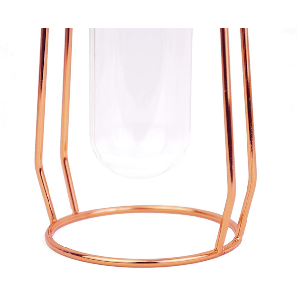Bordsglasvas med metallram Modern Creative Hydroponics Vas Metall Blomsterkruka Växt Glas-guld (stor storlek)