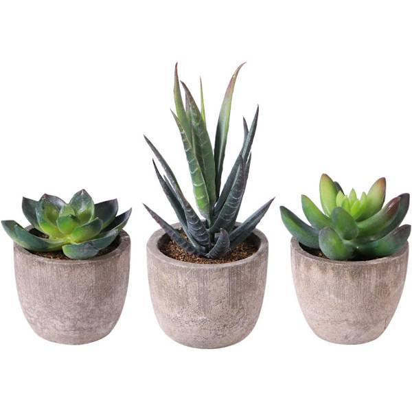 3 stk. Kunstige sukkulenter/Kunstig kaktus/Simulerede kaktus potteplanter Hjem Bonsai Dekoration Have Grønt