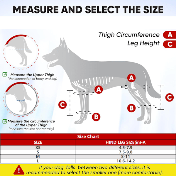 Hund ACL knästöd, hund knästöd för trasigt ACL bakben, hund ACL stöd bakben, hund benstöd för bakben, hund höftstöd, korsbandage för knä M