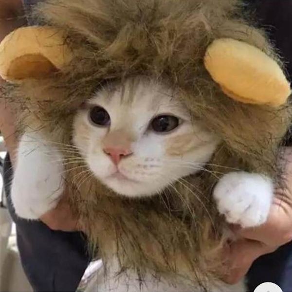 Roliga kläder för katter Lejonman Kattdräkt Lejonperuk Cap för jul husdjur Halloween kostymer