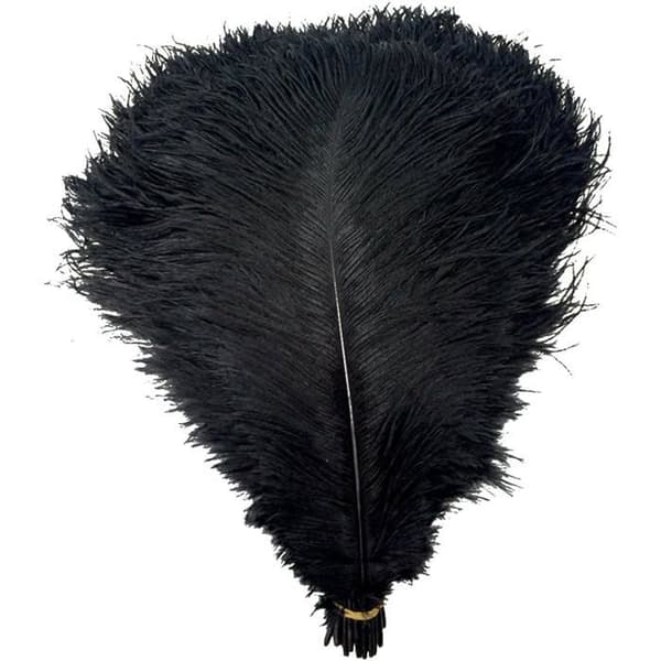 Set med 10 strutsfjädrar, 35–40 cm, för bröllop och inredning.