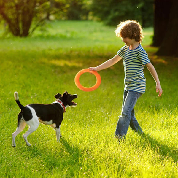 Interaktiv EVA Puller Ring För Hundar Stor Hund Leksak Biting Resistenta Flygande Skivor För Husdjur Liten Hund Leksak grön