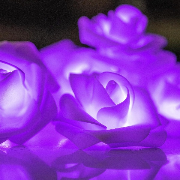 20 LED USB-drevet Premium Lyslenke Romantisk Blomst Rose Fe Lys Lampe Utendørs for Valentinsdag, Bryllup, Rom, Hage, Jul, Terrasse, Festival