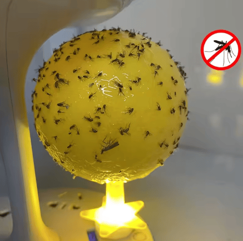 Fruktfluga Bollar Fluga Boll Fälla Klibbig insektsboll geting Myggboll Fälla Insektsfälla upplyst version 2 pack