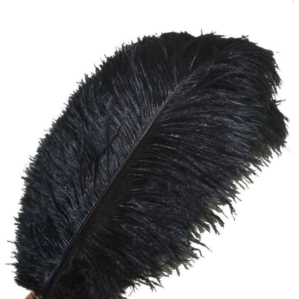 Set med 10 strutsfjädrar, 35–40 cm, för bröllop och inredning.