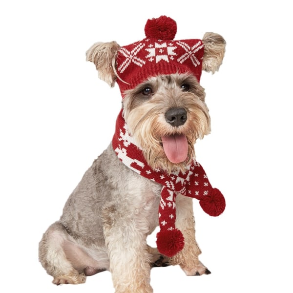 Julhundsdräkt mössa och stickad halsduk - söta husdjurskostymtillbehör Vintervarma kattkläder B(L)