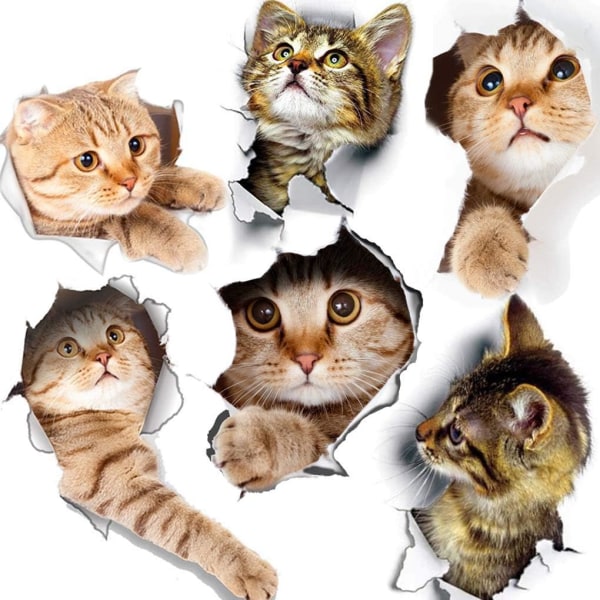 6 ST 3D självhäftande katter väggdekaler, barn väggdekor/avtagbara vinyl konst väggmålningar för vardagsrum Baby rum Sovrum Toalett Hem Vägg DIY Decorati