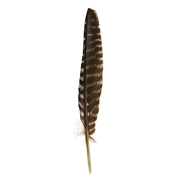 Sisustusesine, amerikkalainen valkosalvia polttamiseen, pyhän puun teline, meditaatio, simpukkakäsityöt, suitsuketeline, kodin sisustus