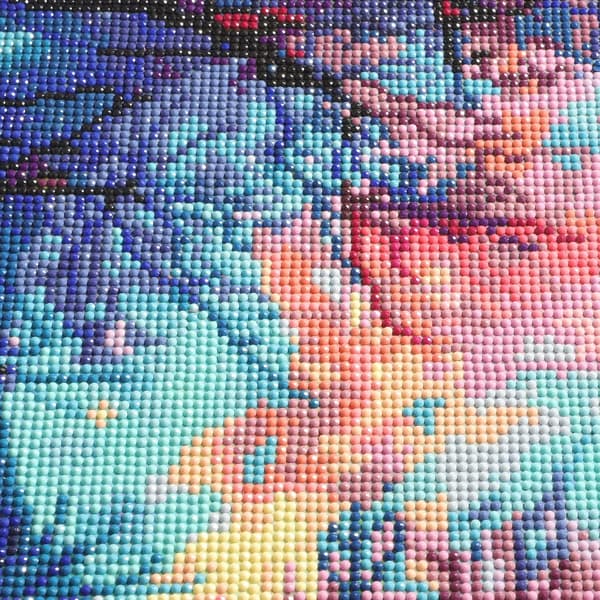 5D Diamantmålad Vuxen Månkakssats