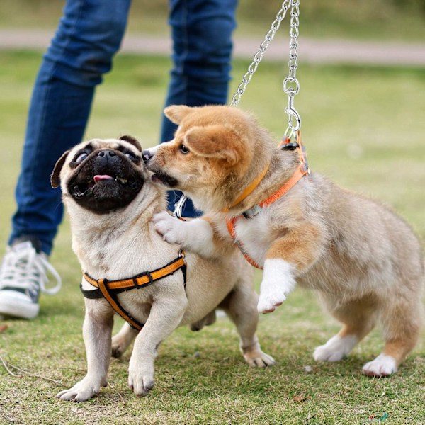 Dubbelt hundkoppel (M-3,5 mm*60 cm) Dubbelt hundstålkedja 2-vägs kromkedja Krommetall 2 hundar träningssäkerhetskoppel