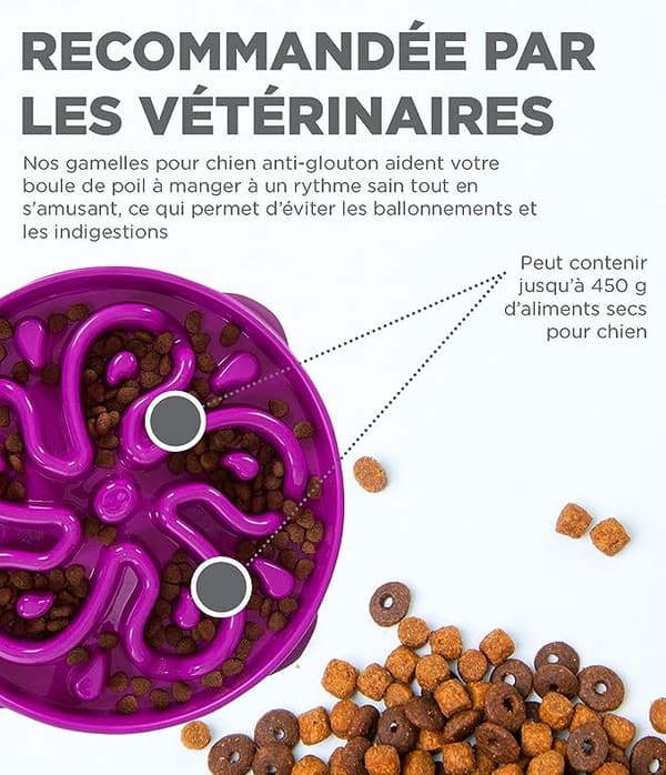 Anti-glubskål til hunde - størrelse L/regular - lilla