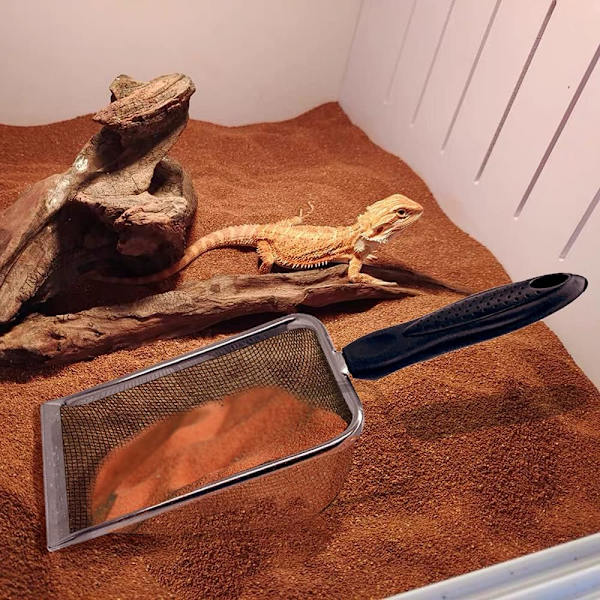Reptilsandsubstrat i rostfritt stål Skopa Spade Sifter Mesh metall Reptilsandrengöringsmedel Scooper för sandsängar