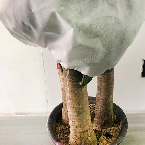 Plante frostbeskyttelsesdække efterår og vinter kuldebeskyttelse trædække plante frostbeskyttelsespose non-woven plante kuldedække (0,8m*1,2m)