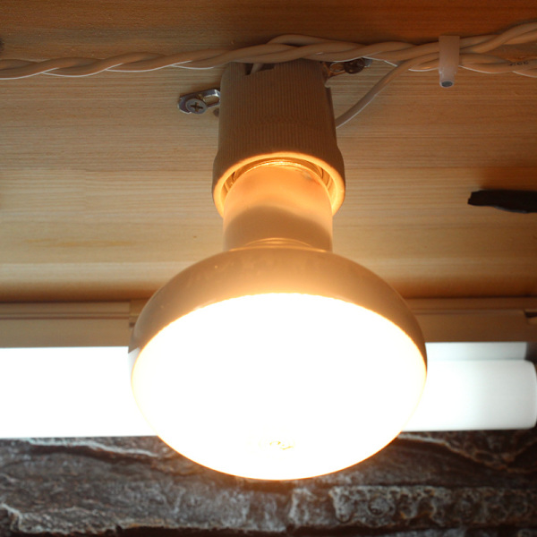 Uva+uvb Reptil Lampe Pære Skildpadde Solbadnings Uv Lys Pærer Varmelampe Padder Firben Temperaturregulator 50W