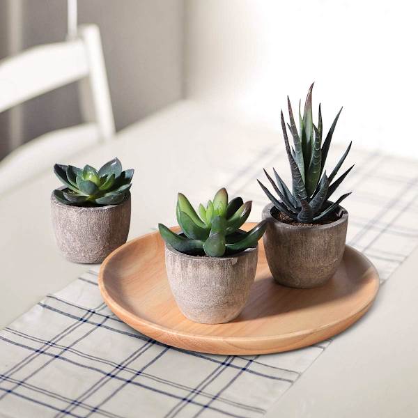 3 stk. Kunstige sukkulenter/Kunstig kaktus/Simulerede kaktus potteplanter Hjem Bonsai Dekoration Have Grønt