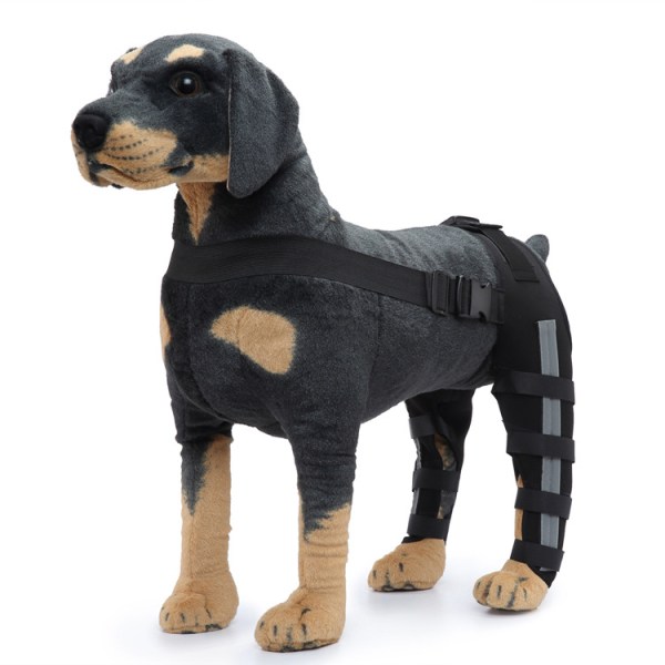 Dubbelt bakre benskydd Hund Knästöd för cap Artrit håller leden varm Extra stöd (L storlek)
