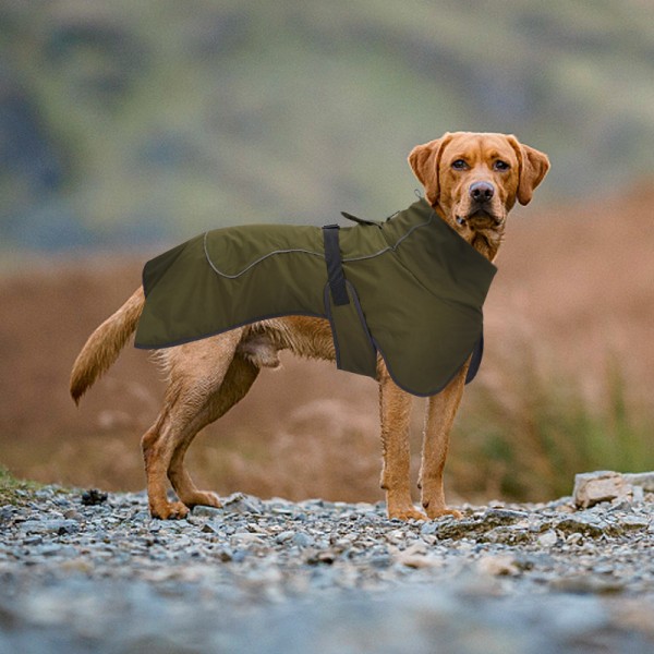 Stora hundkläder vinter bomullskläder förtjockade varma reflekterande vattentäta dubbla lager hundkläder för husdjur 63*45cm