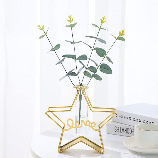 Skrivbordsväxter med provrörsglasblomvas med guldmetallställ, förökningsstation, växthållare för hem, bröllopsdekoration (Guld, Stjärna)