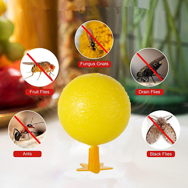 Fruktfluga Bollar Fluga Ball Trap Sticky Insect Ball Wasp Mosquito Ball Trap Bug Trap 2 pack