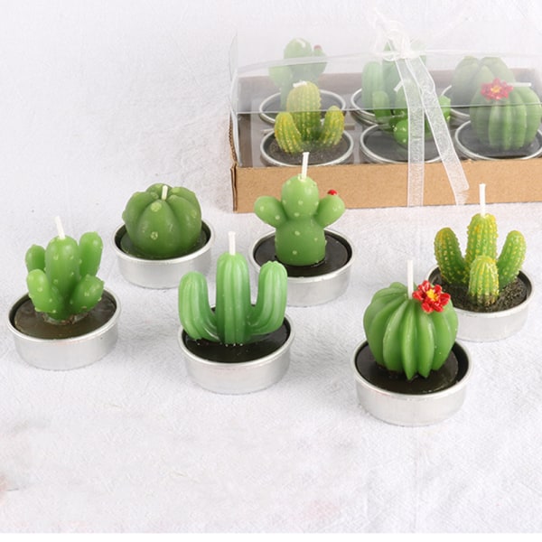 värmeljus mors dag presenter, delikat kaktus terrarium ljus Små söta handgjorda ljus för hemmet, bröllopstillbehör (6 förpackningar)