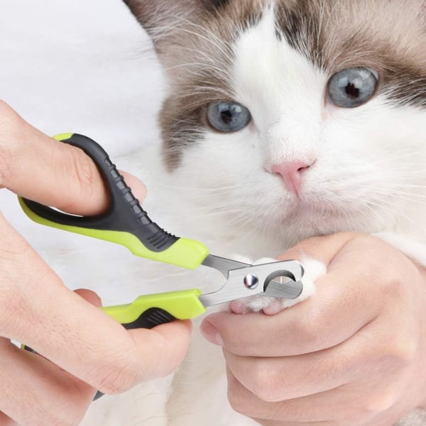 Professionell nagelklippare för husdjur, kattklosax, unikt 25-graders skärhuvud, idealiskt för små hundar, valpar, katter och kaniner