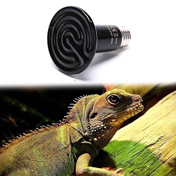 Kæledyrs Reptil Fjern Infrarød Keramisk Varmelampe Varmelegeme Pære (100w)
