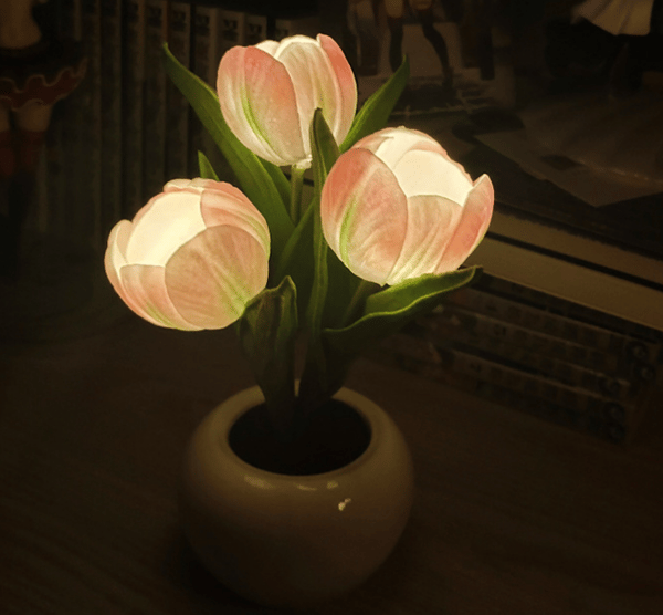 The Enchanted Lunar Lamp，Hängande Led Moon Lamp Night Light With