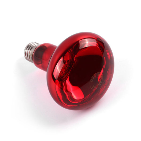Infrarød Spotlampe 95 × 130 mm 150 W