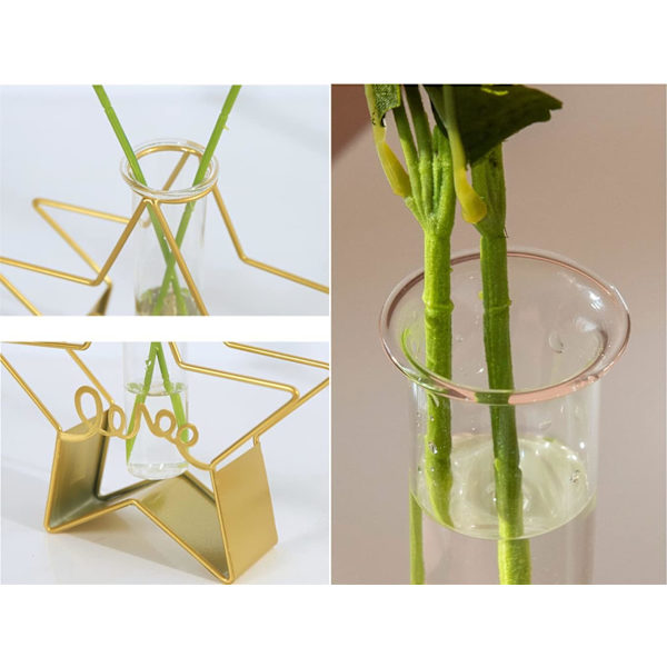 Skrivbordsväxter med provrörsglasblomvas med guldmetallställ, förökningsstation, växthållare för hem, bröllopsdekoration (Guld, Stjärna)