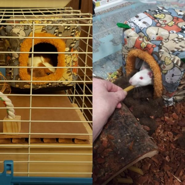 Varmt marsvin hamster seng pindsvinehus plys hus fuglerede hængende hængekøje om vinteren for at forhindre små dyr i huler 20 * 20 * 20cm