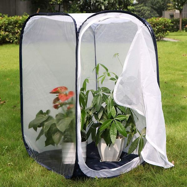 24" Stor Monark Butterfly Habitat, gigantisk mesh insektsnätbur Terrarium Pop-up 15,7 x 15,7 x 24 tum