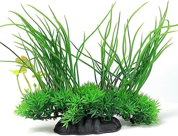 Dekorativ vannplante for akvarium