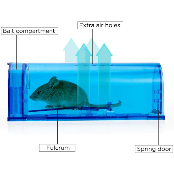 råttfällor, Humane No Kill Live Catch and Release Mouse Traps, Reusable with Cleaning Brush - 2 Pack