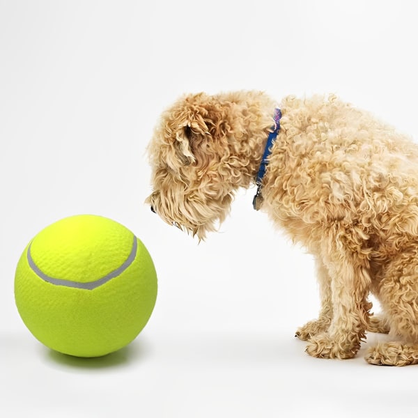 Tennisboll för hundtuggleksak Pet hund interaktiva leksaker