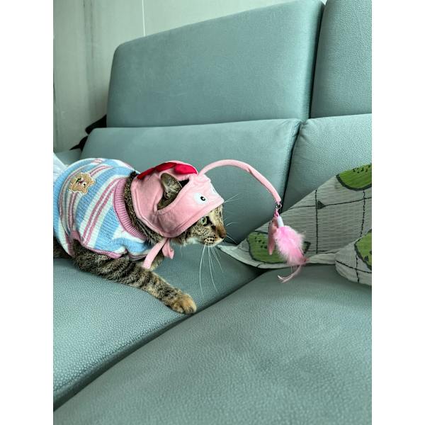 Interaktiv kattleksak Fiske Huvudbonader Hatt Fjäderbete Husdjur rosa pink