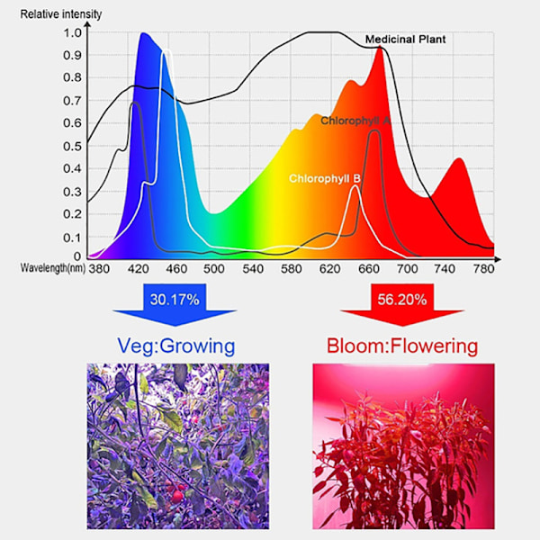 3000W LED Plant Grow Light Full Spectrum LED Justerbar 169-LED 81-LED