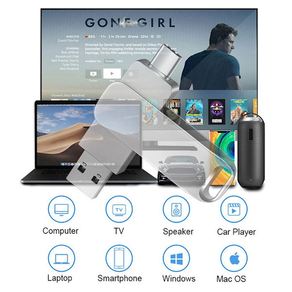 1 ST Pennenhet 64GB OTG Typ C USB 2.0 Flash Drive