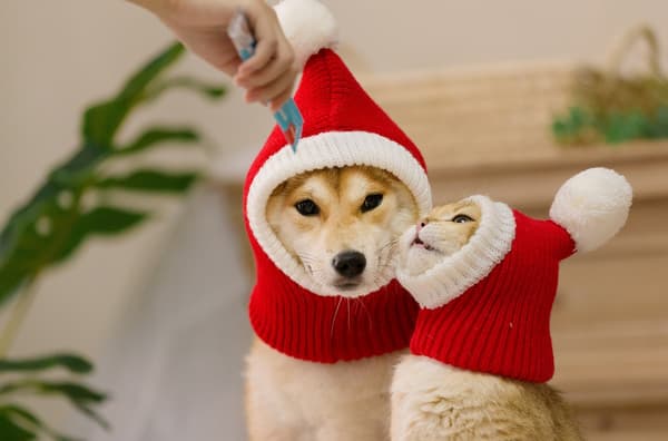 Pet Winter Wool Hat Doll Golden Retriever Dog Christmas Hat röd medium double extra large