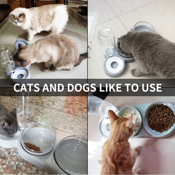 Kattskål Katt Hund Dubbelskål Automatisk vattenmatning blå blue
