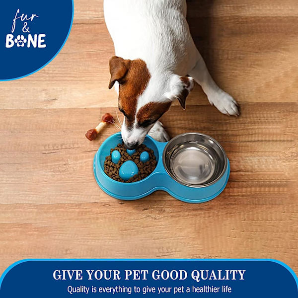 Slow Food Dual Feeder Interactive Pet Bowl blå