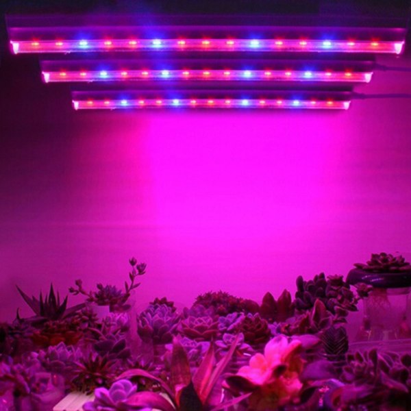 LED Grow light Full Spectrum inomhuslampa