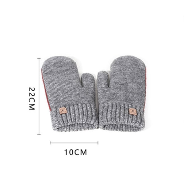 Dubbellagershandskar Plus Velvet Thickening Herrhandskar utomhus svart 22*10cm light gray